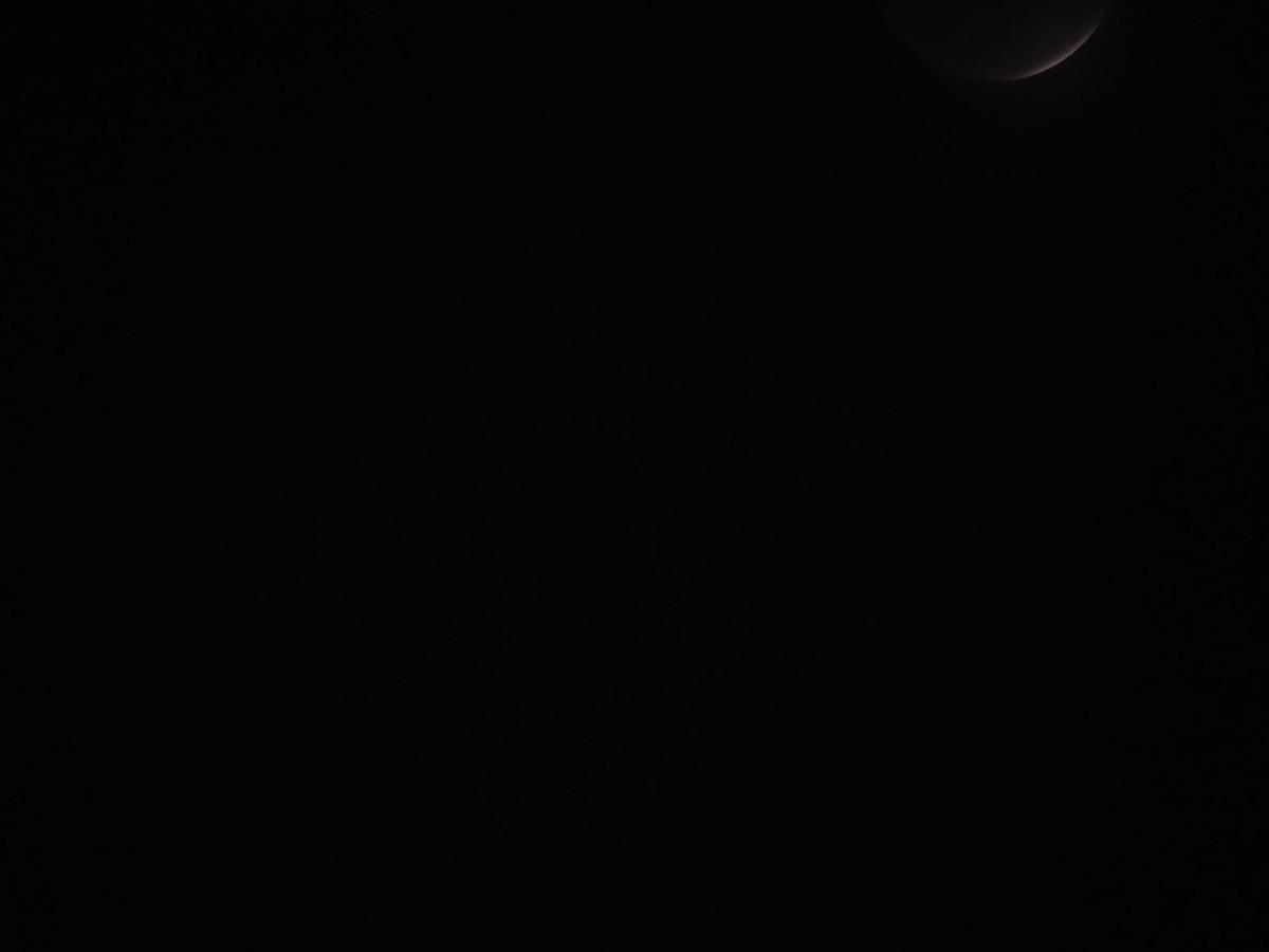 f:id:a666666:20211119180832j:plain