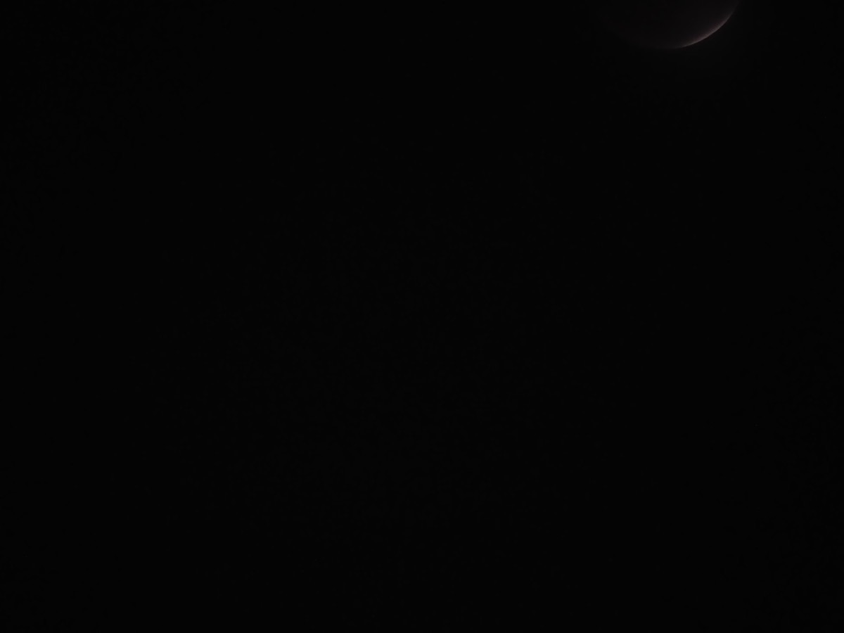 f:id:a666666:20211119180837j:plain