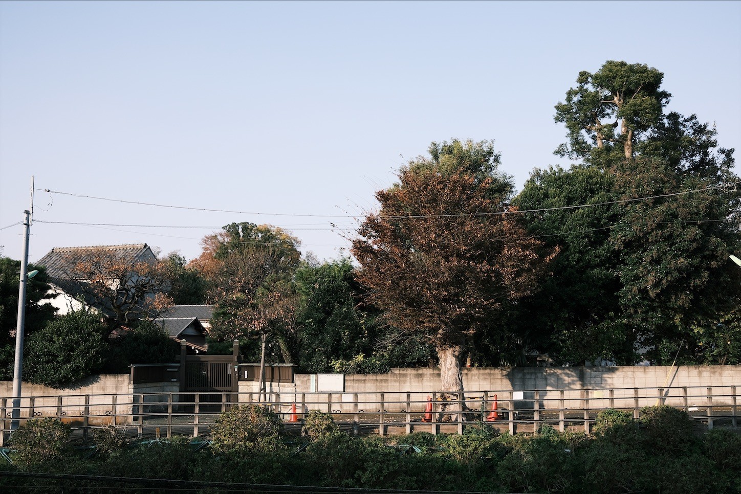 f:id:a666666:20211120231659j:plain