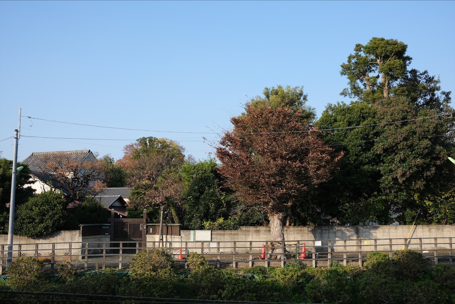 f:id:a666666:20211120231702j:plain