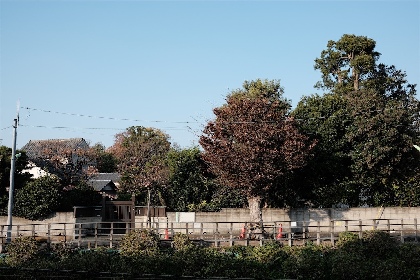 f:id:a666666:20211120231706j:plain