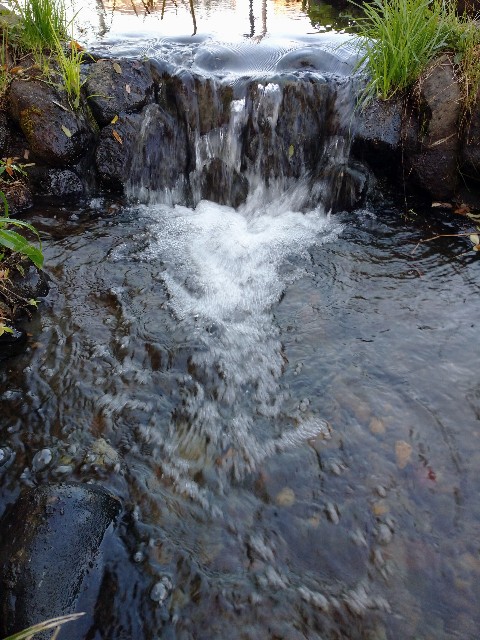 f:id:a8707:20201117131831j:image f:id:a8707:20201117131831j:image