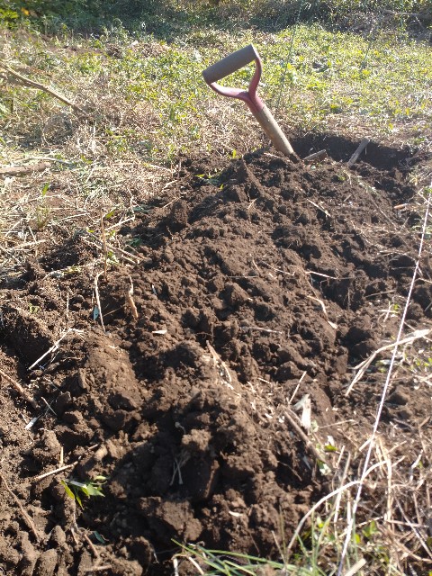 f:id:a8707:20201117132356j:image f:id:a8707:20201117132356j:image