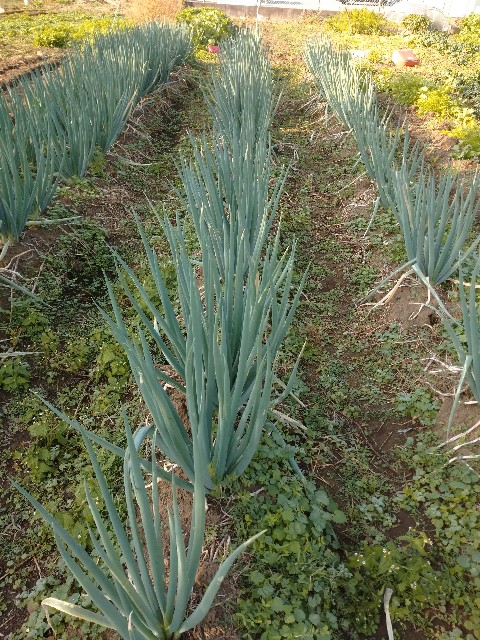 f:id:a8707:20201118101845j:image f:id:a8707:20201118101845j:image