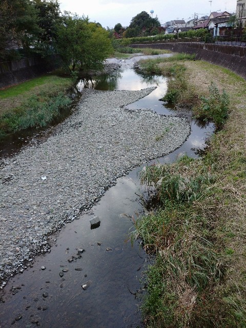 f:id:a8707:20201118123629j:image f:id:a8707:20201118123629j:image