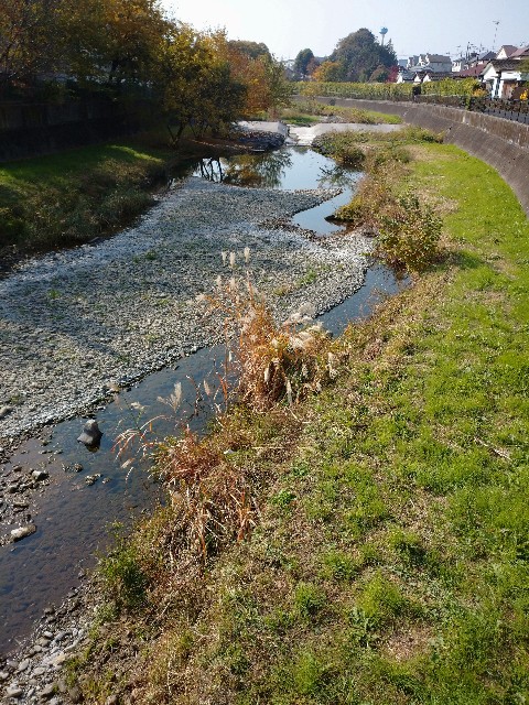 f:id:a8707:20201118123655j:image f:id:a8707:20201118123655j:image