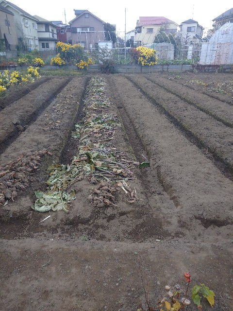 f:id:a8707:20201120201048j:image f:id:a8707:20201120201048j:image