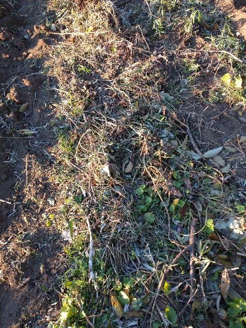 f:id:a8707:20201121184141j:image f:id:a8707:20201121184141j:image