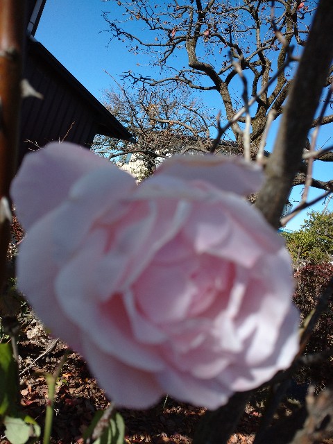 f:id:a8707:20201121214949j:image f:id:a8707:20201121214949j:image