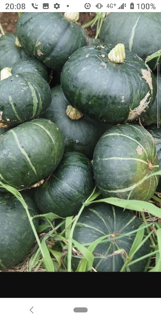 f:id:a8707:20201122201008j:image f:id:a8707:20201122201008j:image