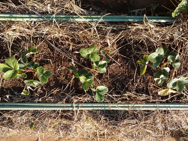 f:id:a8707:20201122215826j:image f:id:a8707:20201122215826j:image