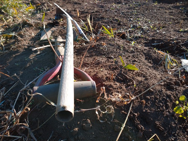 f:id:a8707:20201123195742j:image f:id:a8707:20201123195742j:image