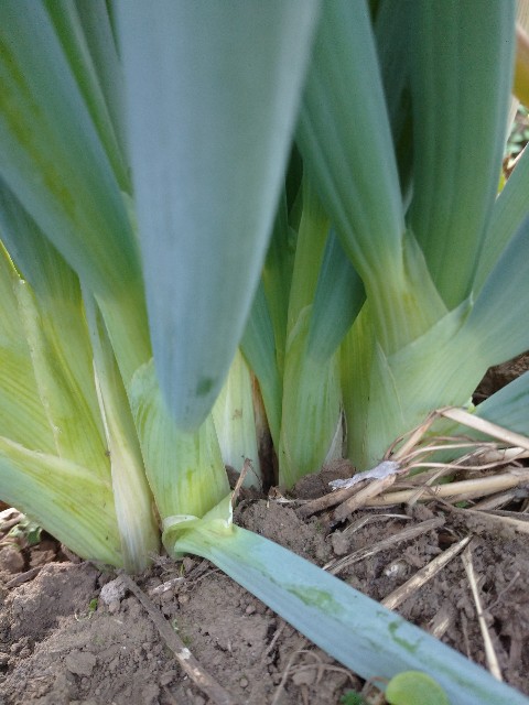 f:id:a8707:20201123220937j:image f:id:a8707:20201123220937j:image