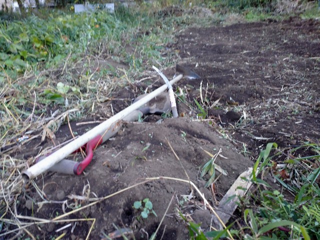 f:id:a8707:20201123221031j:image f:id:a8707:20201123221031j:image