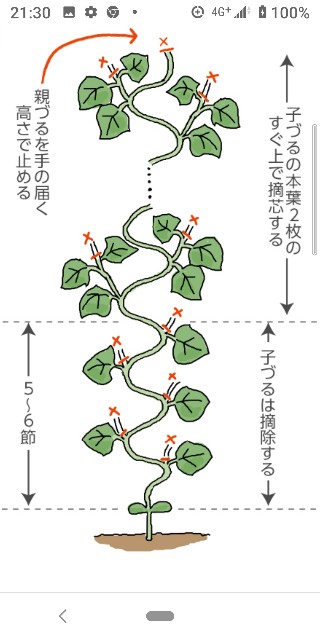 f:id:a8707:20201126220250j:image f:id:a8707:20201126220250j:image