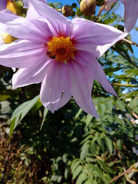 f:id:a8707:20201129202224j:image f:id:a8707:20201129202224j:image