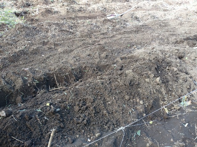 f:id:a8707:20201129202702j:image f:id:a8707:20201129202702j:image