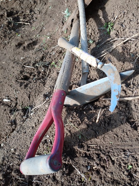 f:id:a8707:20201129202734j:image f:id:a8707:20201129202734j:image