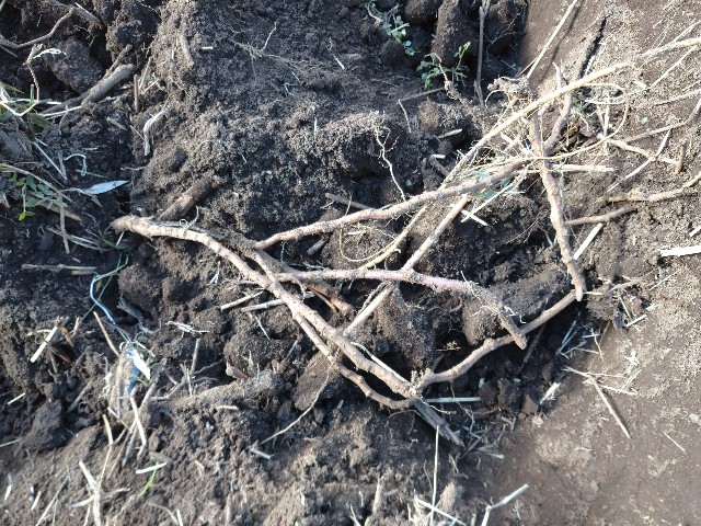 f:id:a8707:20201129203235j:image f:id:a8707:20201129203235j:image