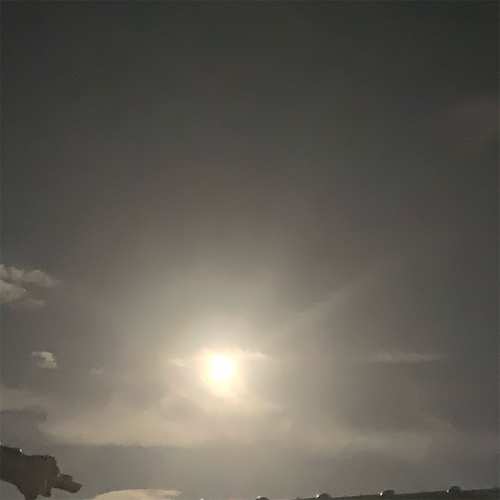 f:id:a91n52:20200902154727p:image f:id:a91n52:20200902154727p:image
