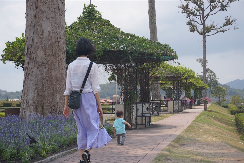 f:id:a9l6123f13:20190411173015j:image:w400