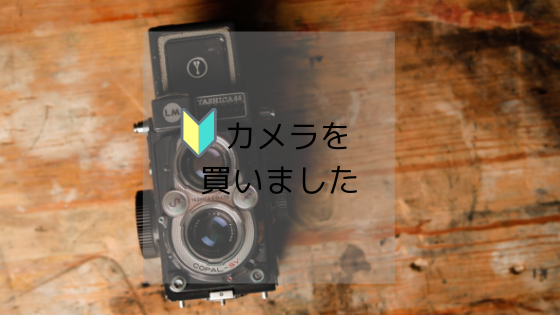 f:id:a9l6123f13:20190422184525p:plain:w500