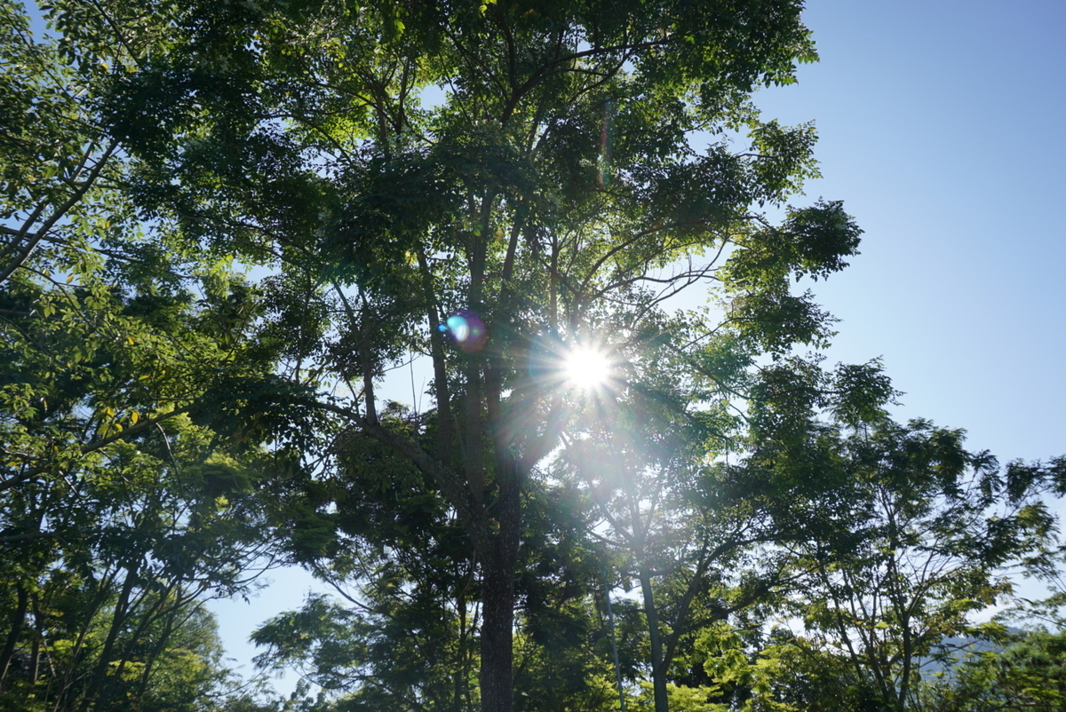 f:id:a9l6123f13:20191015175956j:plain:w400