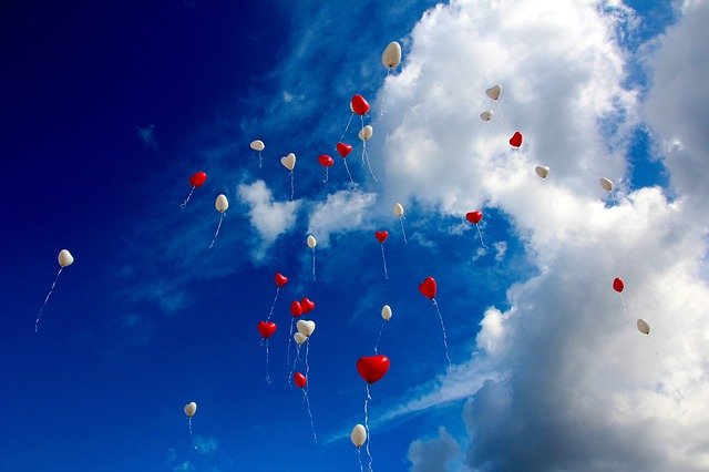 f:id:a9l6123f13:20210111133210j:plain:w400