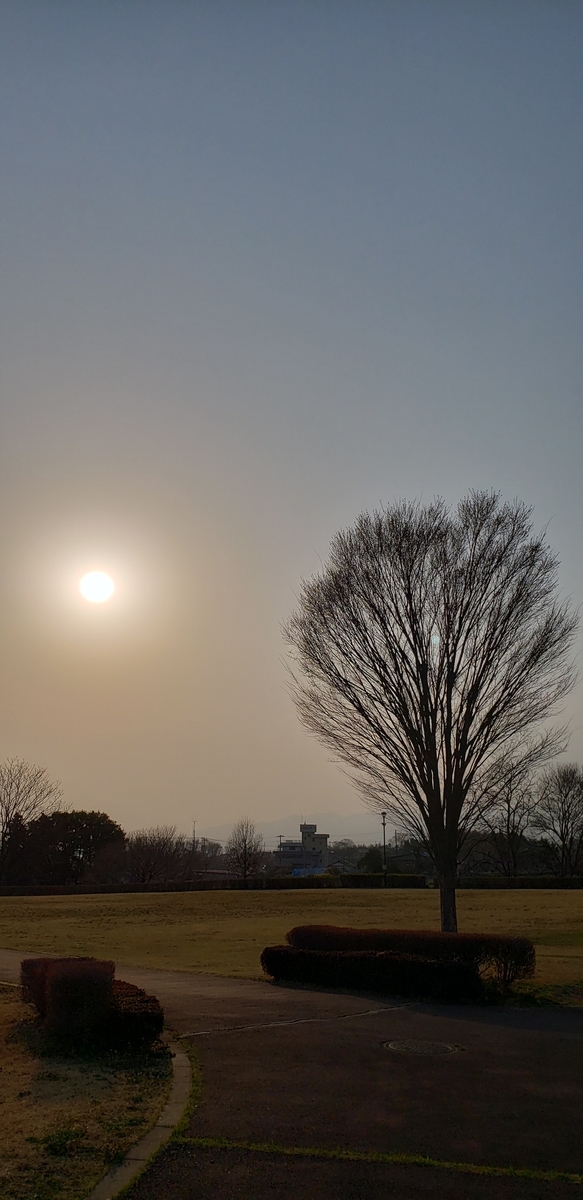 f:id:aSHURA:20190410105752j:plain f:id:aSHURA:20190410105752j:plain