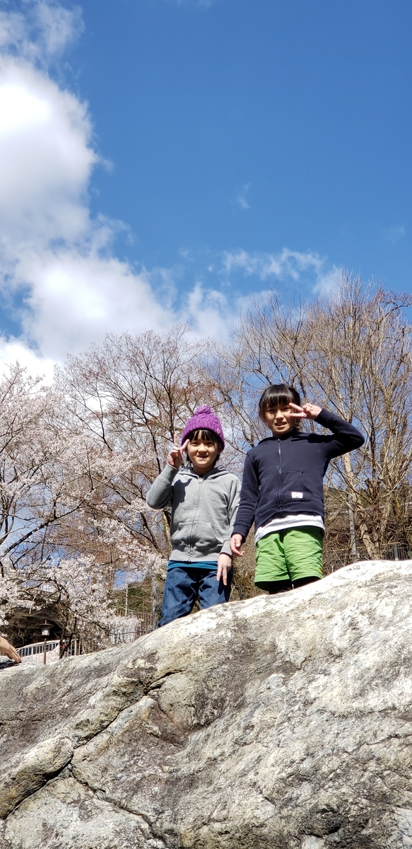 f:id:aSHURA:20190410113343j:plain f:id:aSHURA:20190410113343j:plain
