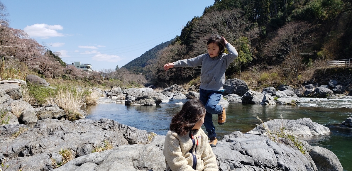 f:id:aSHURA:20190410113702j:plain f:id:aSHURA:20190410113702j:plain