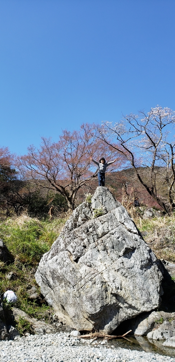 f:id:aSHURA:20190410113732j:plain f:id:aSHURA:20190410113732j:plain
