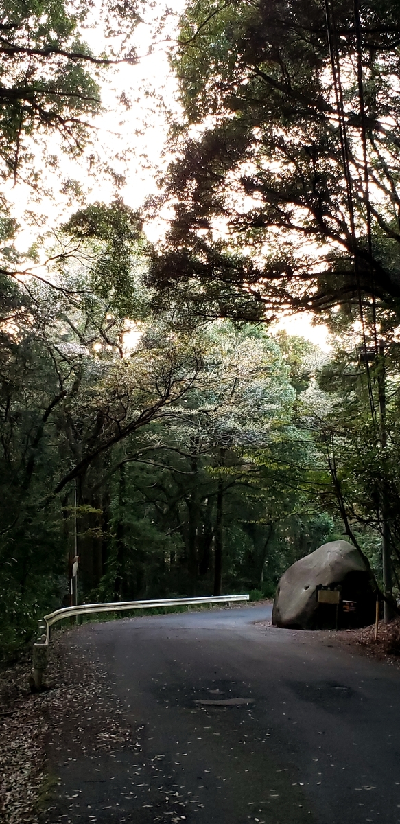 f:id:aSHURA:20190415225825j:plain f:id:aSHURA:20190415225825j:plain