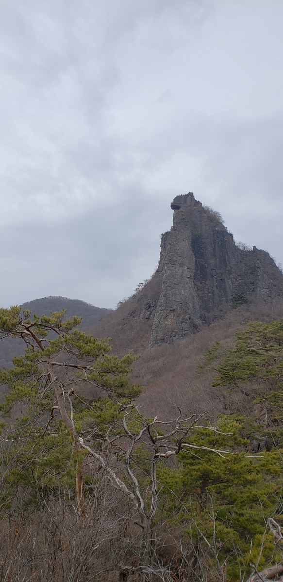 f:id:aSHURA:20190425225352j:plain f:id:aSHURA:20190425225352j:plain