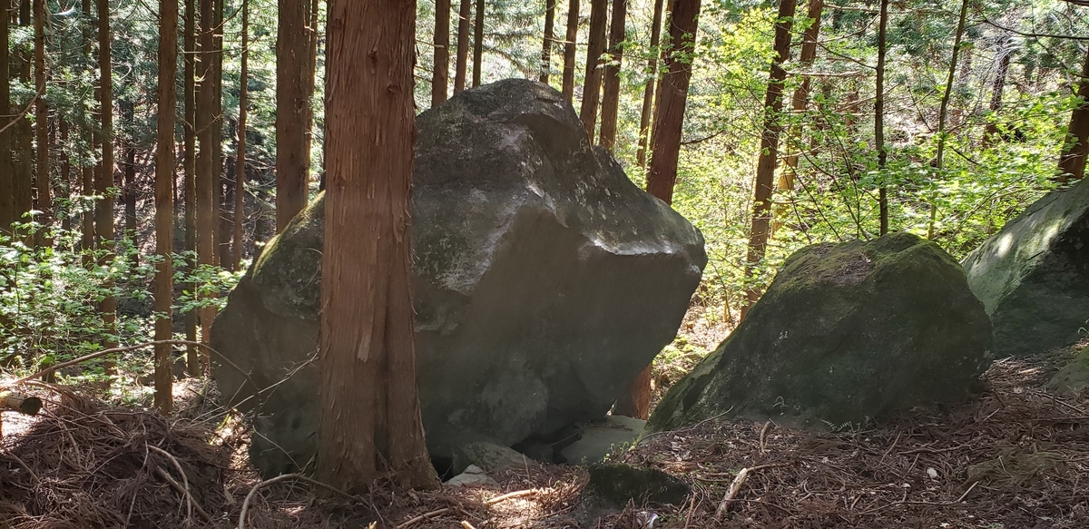 f:id:aSHURA:20190514000432j:plain f:id:aSHURA:20190514000432j:plain
