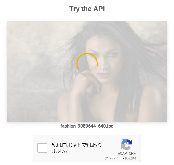 解析がスタート