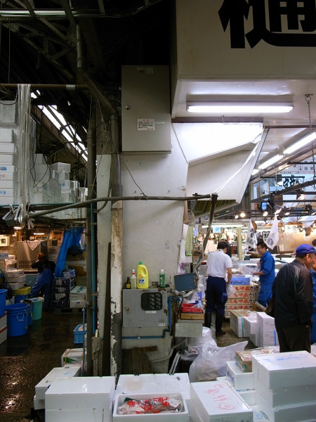 f:id:a_aoi:20080516081238j:image:h500:left