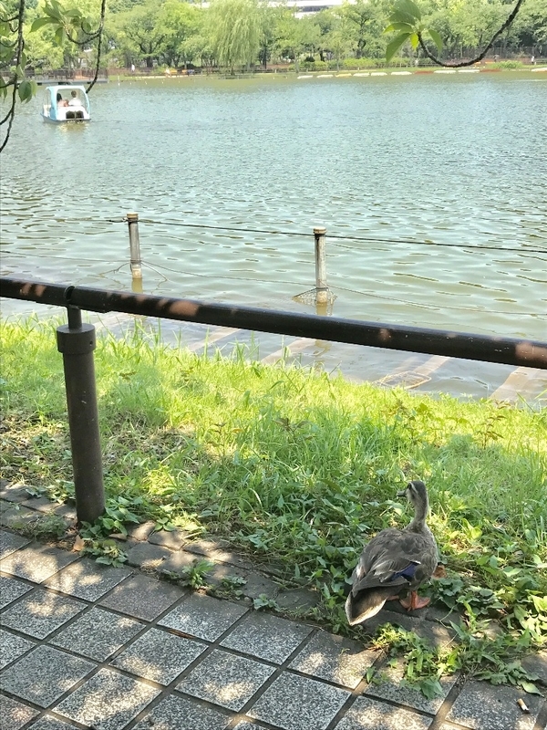 イメージ 1