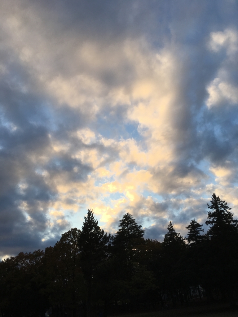 f:id:a_d001n:20180119095633j:plain