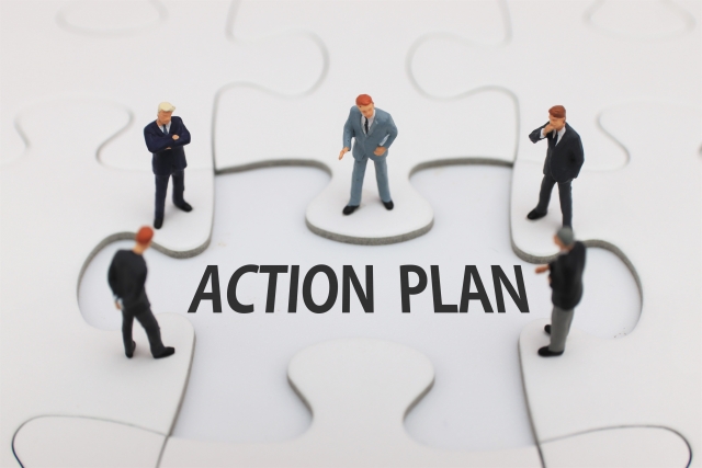 Action Plan