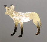 f:id:a_fool_dances:20190809230840j:plain f:id:a_fool_dances:20190809230840j:plain