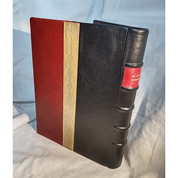 f:id:a_fool_dances:20200215221731j:plain f:id:a_fool_dances:20200215221731j:plain