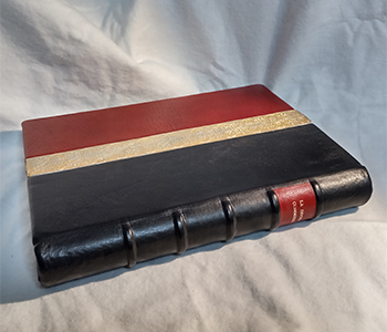 f:id:a_fool_dances:20200215221744j:plain f:id:a_fool_dances:20200215221744j:plain