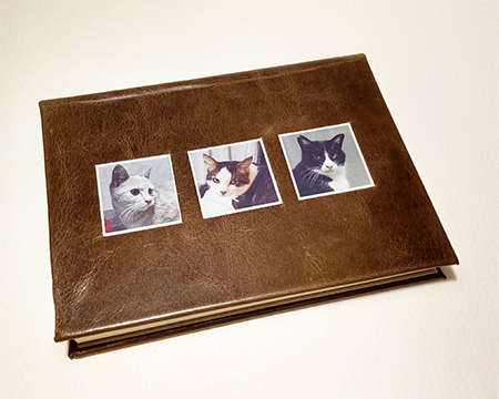 f:id:a_fool_dances:20200222182251j:plain