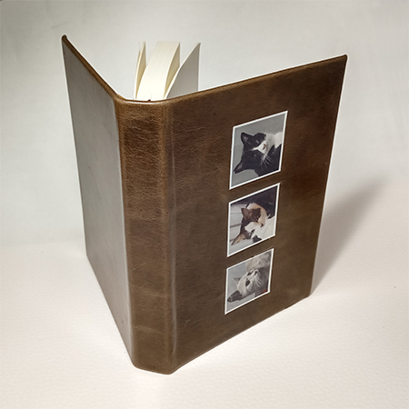 f:id:a_fool_dances:20200222182300j:plain