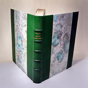 f:id:a_fool_dances:20200223122331j:plain f:id:a_fool_dances:20200223122331j:plain