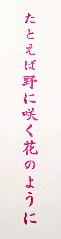 f:id:a_fool_dances:20200314223012j:plain