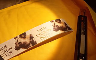 f:id:a_fool_dances:20210216223628j:plain