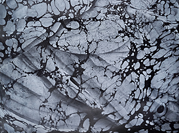 f:id:a_fool_dances:20210330234044j:plain