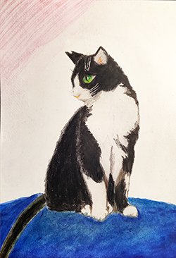 f:id:a_fool_dances:20210504231830j:plain